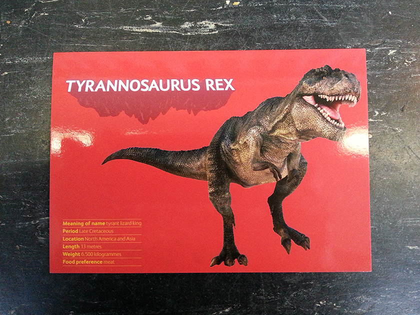 Raaahhh! T-Rex! Bought at the Natural History Museum in London